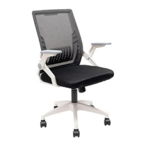 Ergonomic Chair VF29