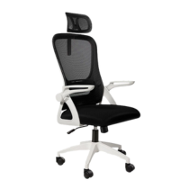 Ergonomic Chair VFD11