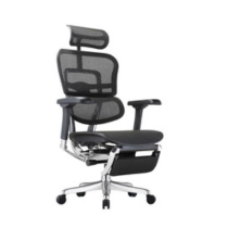 Ergonomics Chair VFA526