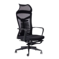 Ergonomic Chair VF366