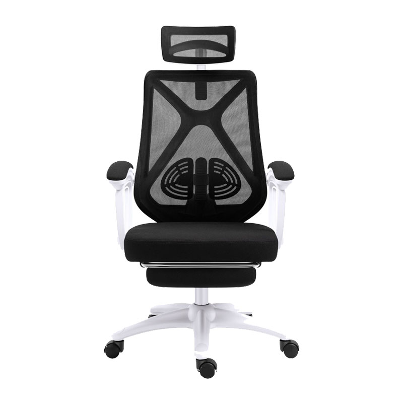 Ergonomic Chair VF-X6
